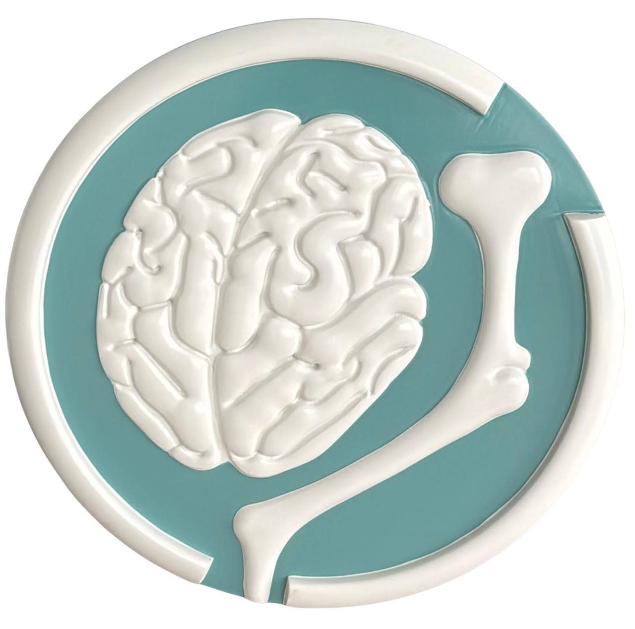 Brain & Bones Physiotherapy Clinic Logo